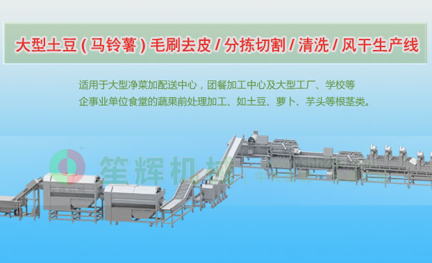 大洼连续式土豆去皮清洗切割风干生产线